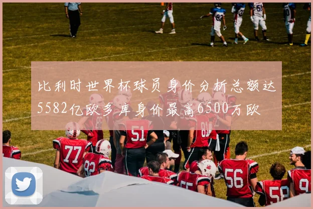 比利时世界杯球员身价分析总额达5582亿欧多库身价最高6500万欧
