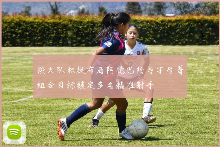 热火队积极布局阿德巴约与字母哥组合目标锁定多名精准射手